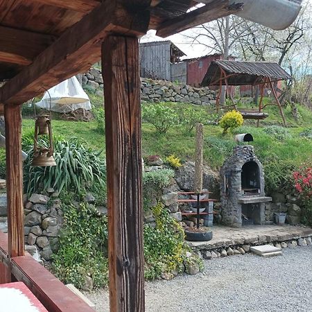 Villa Meselak à Ocna de Sus Extérieur photo