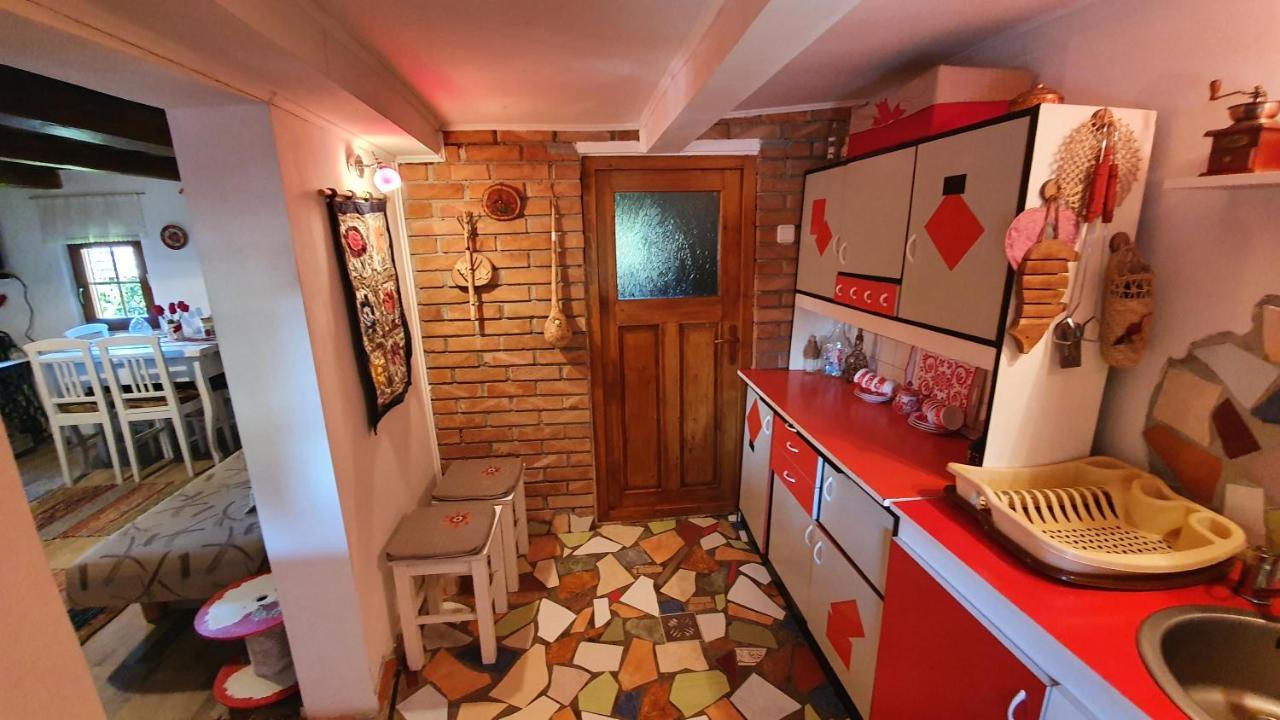 Villa Meselak à Ocna de Sus Extérieur photo