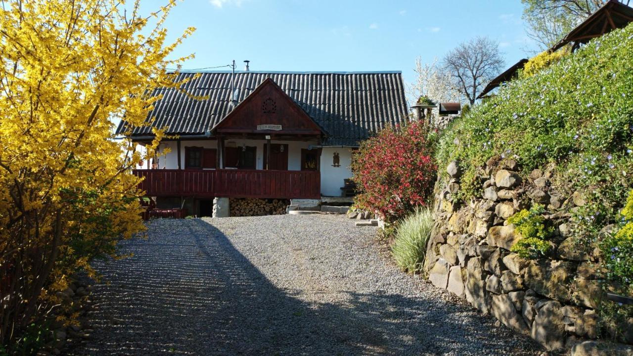 Villa Meselak à Ocna de Sus Extérieur photo